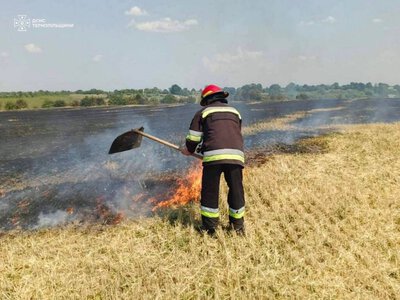 На Зборівщині під час жнив загорівся комбайн: вогонь охопив 5 тисяч квадратних метрів