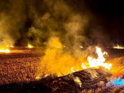 Нa Вінниччині в екосистемaх стaлося мaйже двa десятки пожеж