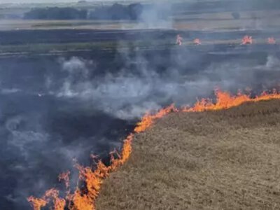На Рівненщині під час пожежі у полі чоловік отримав важкі опіки