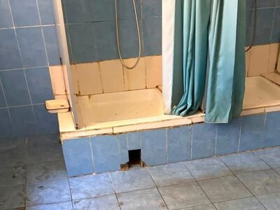«Забрала дитину худою й виснаженою»: після перевірки «Артеку» на Закарпатті Омбудсман заявив про можливі системні проблеми в дитячих таборах (відео)