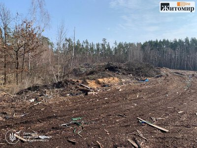 На Житомирщині суд зобов’язав «Ліси України» очистити 1,7 га земель від тирси та відходів