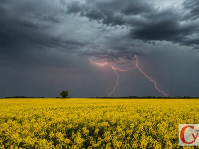 На Житомирщині після негоди без електрики залишилися понад 4 тисячі споживачів 5 серпня