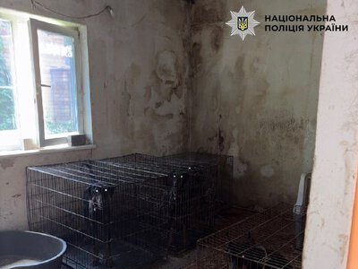 У Києві вилучили 30 доберманів через жорстоке поводження