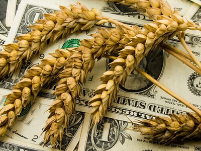 Експорт агропродукції у липні впав на 23%