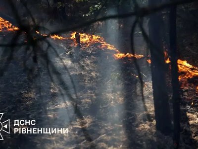 Вогонь біля Мізоча охопив пшеницю, стерню та частину лісу