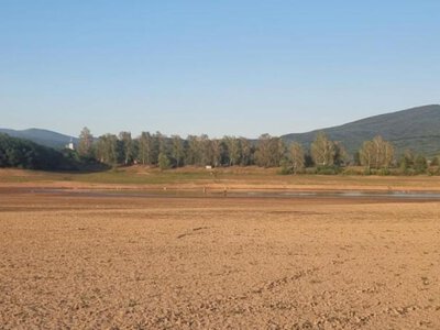 На Мукачівщині через посуху майже повністю висохло водосховище, спостерігається замор риб