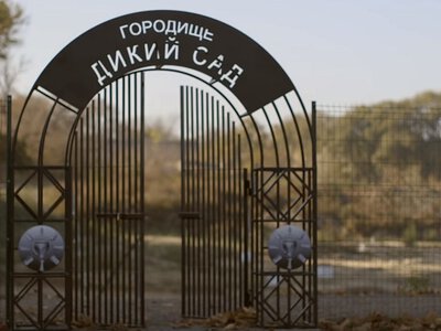 Нові відкриття археологів у Миколаєві: що вдалося з'ясувати про стародавнє городище «Дикий Сад»