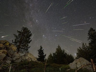 У ніч на 13 серпня закарпатці зможуть побачити пік зорепаду Персеїди