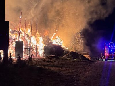 В соцмережах поширили відео, як поліція привезла нібито військового ТЦК на виклик про пожежу: адвокат проаналізував сторінку авторки
