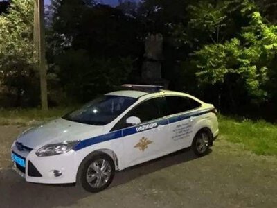 Партизани знищили автомобіль окупаційної поліції в Донецьку