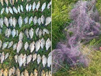 На Дніпропетровщині виявили рибалку-браконьєра, який наловив риби на понад 205 тис. гривень