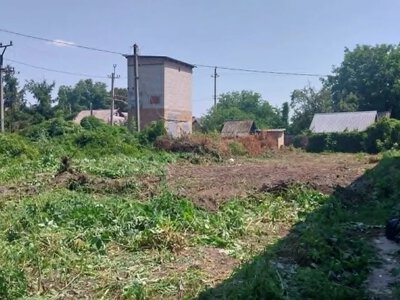 Біля парку в Олександрівці розпочали розчищувати чагарники