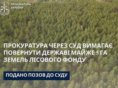 Майже 5 га земель незаконно опинилися у комунальній власності Бучацької міськради
