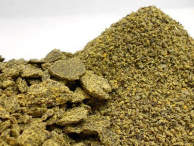 Китай став головним покупцем українського ріпакового шроту: скільки закупили