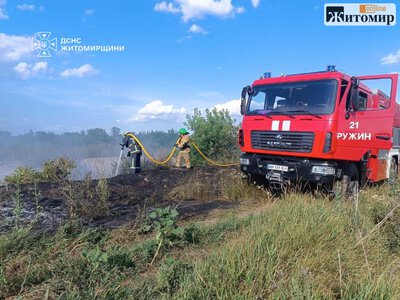 П’ять пожеж сухостою за добу: на Житомирщині вогонь охопив близько 2 гектарів
