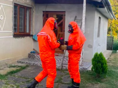 У селі Чорногузи надзвичайники ліквідували гніздо шершнів у стіні житлового будинку