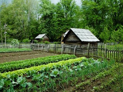Податок на помідори й огірки: кого можуть змусити платити
