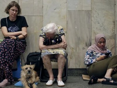 Укриття з домашніми тваринами: киянам нагадали правила безпеки