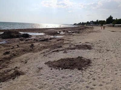 Окупанти хочуть збільшити “туристичний потік” на лівобережжі Херсонщини до 5 мільйонів людей - Херсон Daily