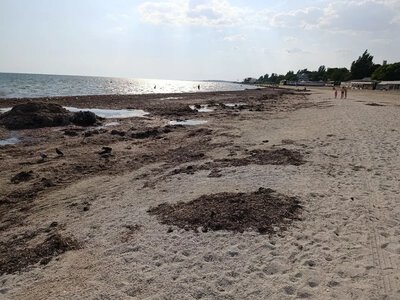 Окупанти на лівобережжі Херсонщини планують 5 мільйонів «туристів» до 2044 року