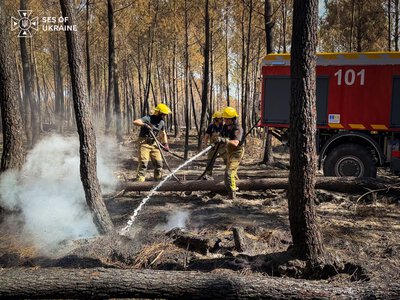Рятувальники Прикарпаття у складі зведеного загону ліквідовують пожежу у Франції