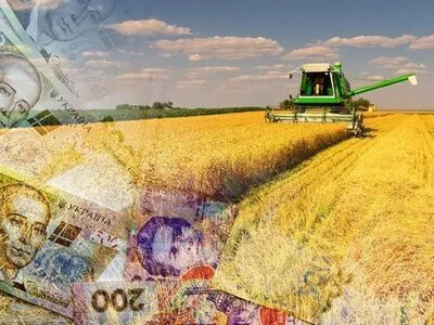 Соя: Найприбутковіша культура сезону