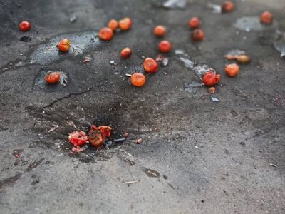 Десятеро людей постраждали через удар росіян по ринку у Білопільській громаді Сумщини