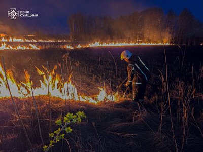 Понад 63,6 млн грн: на Сумщині підрахували збитки від 12 пожеж, спричинених російськими обстрілами