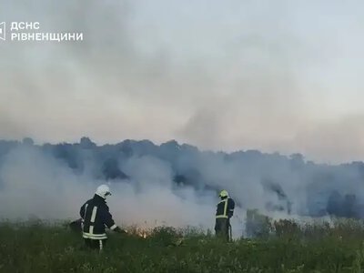За добу ліквідували 9 пожеж в екосистемах на Рівненщині