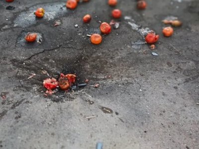 Росіяни атакували дроном ринок на Сумщині: 10 постраждалих, двоє – у важкому стані