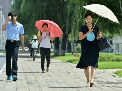 У КНДР закликали боротися зі спекою супом із собачого м’яса