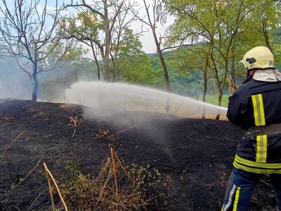 В екосистемах Вінниччини стрімко збільшилась кількість пожеж