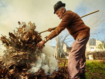 Що робити з опалим листям та сухою травою: 5 ідей для саду й городу
