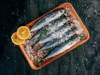 Яка риба корисніша для серця і мозку: анчоуси чи сардини