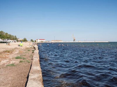  На окупованій Херсонщині заявили про забруднення морської води у п'яти зонах відпочинку 