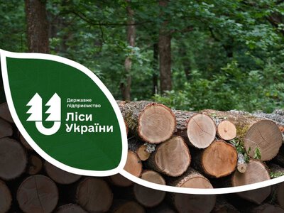 На Вінниччині шахраї продають «дрова» від імені лісництв і зникають після передоплати