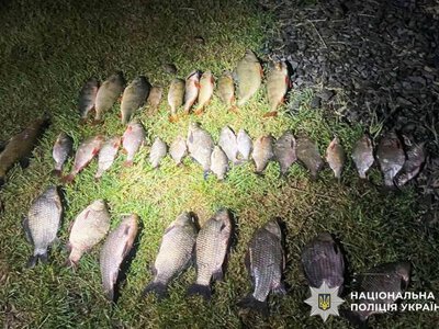 На Рівненщині чоловік незаконно виловив 39 рибин та завдав державі понад 80 тисяч гривень збитків