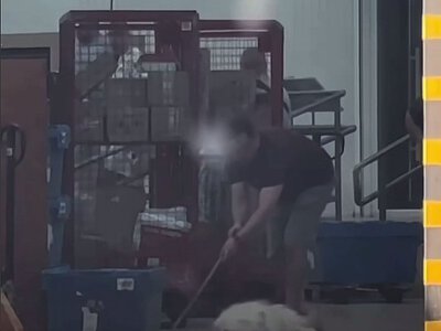 В Івано-Франківську співробітники «Нової пошти» вигнали собаку: їх звільнили