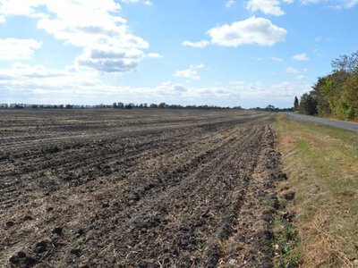 На Уманщині суд припинив право оренди земельних ділянок, незаконно переданих іноземцем