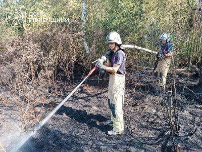 На Рівненщині знову горіли сухостій і торф