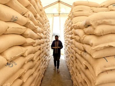 Україна звернулася до ЄС по €220 млн підтримки агросектору: експортні обмеження загрожують виробникам