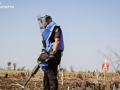 Закарпатські сапери розміновують Миколаївщину: від початку року очистили понад 250 гектарів (ФОТО)
