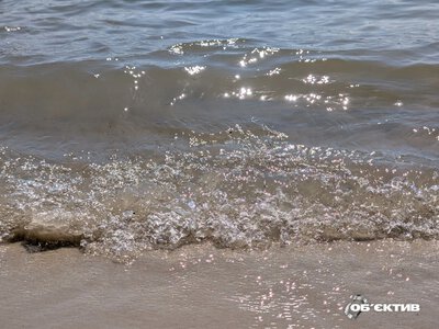 Перевищення по кишковій паличці виявили в Основ’янському озері Харкова
