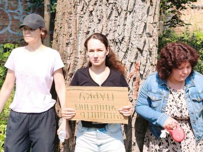 Теплотраса замість столітніх дубів: чому в Києві знищують парк на Теремках і чи є альтернативний шлях для її будівництва