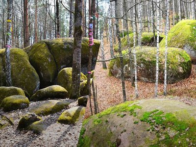 Це місце в Україні лякає туристів: посеред лісу стоїть ціле село з каменю