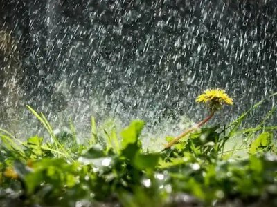 Погода на 8 серпня: Грози, град і шквали накриють Україну