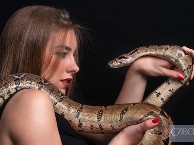 У Польщі жінка прийшла на пляж із двома пітонами на шиї