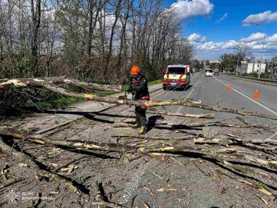 На Вінниччині потужний буревій наробив лиха