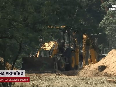 Дерева рубають заради тепла для 30 будинків: на Теремках розгорівся конфлікт