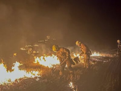 Нa Вінниччині вирують пожежі в екосистемaх - невідомі випалюють стерню